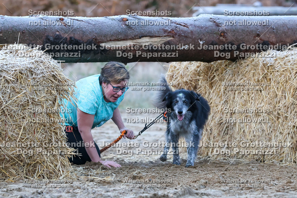 Dog Paparazzi - Strongdog 10-25-222 | Dog Paparazzi Jeanette Grottendiek Fotografie & Videografie - Realisiert mit Pictrs.com