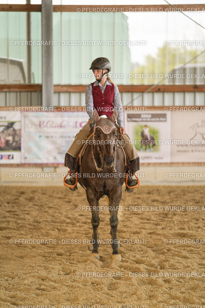 DSC08974 | Pferdegrafie