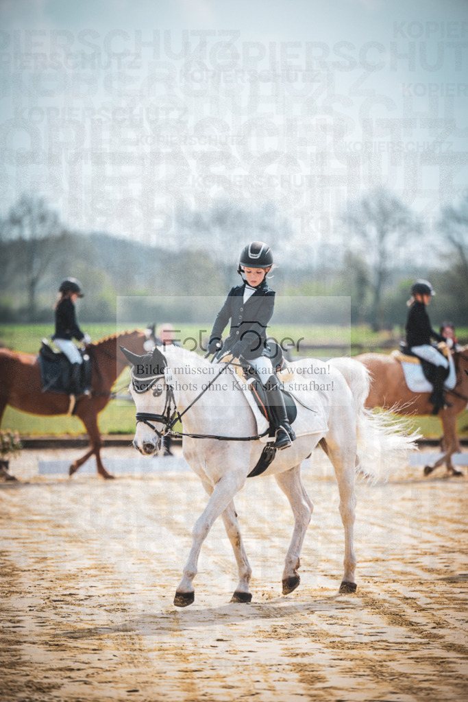 DOS_5072 | Entdecke hochwertige Reitturnierfotos von Foto Oger. Professionell, emotional und authentisch – jetzt Lieblingsmomente im Shop bestellen.Deutschlandweite Turnierfotografie. - Realisiert mit Pictrs.com