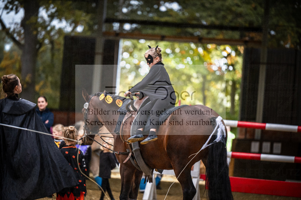 DOS_0079 | Entdecke hochwertige Reitturnierfotos von Foto Oger. Professionell, emotional und authentisch – jetzt Lieblingsmomente im Shop bestellen.Deutschlandweite Turnierfotografie. - Realisiert mit Pictrs.com