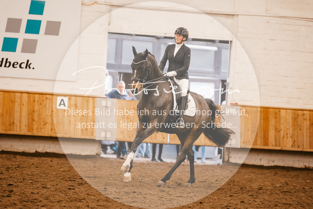 3I6A7066 | Stimmungsvolle Portraits und Reitsportfotografie im Ruhrgebiet und im Münsterland.

Pferdefotografie, Hundefotografie, Tierfotografie, Reportagen, Portraits von Tier und Mensch, Turnierfotografie in Bochum, Recklinghausen, Marl, Haltern am See, Dülmen.. - Realisiert mit Pictrs.com
