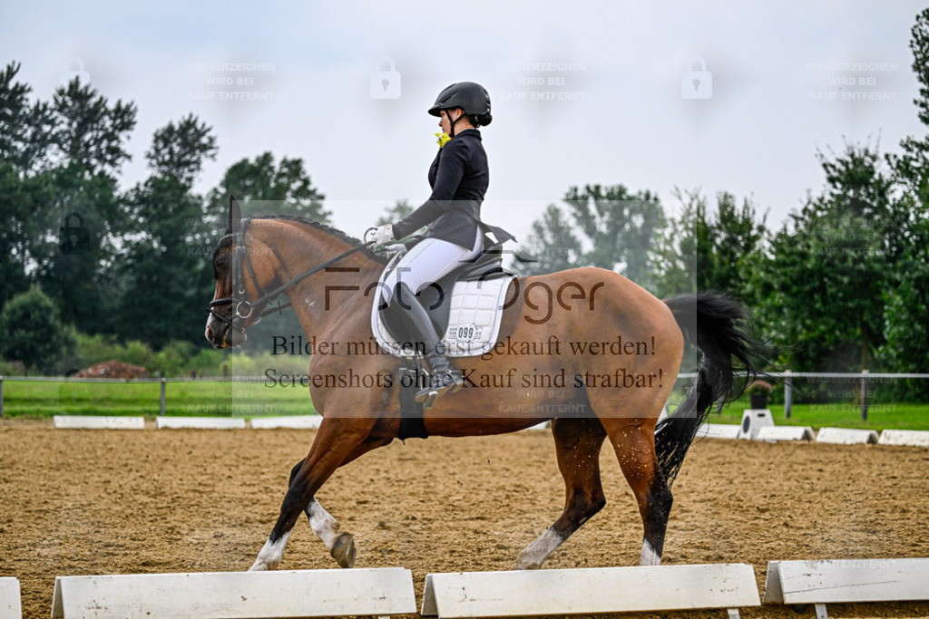 Reitturnier Hasbergen | Entdecke hochwertige Reitturnierfotos von Foto Oger. Professionell, emotional und authentisch – jetzt Lieblingsmomente im Shop bestellen. - Realisiert mit Pictrs.com