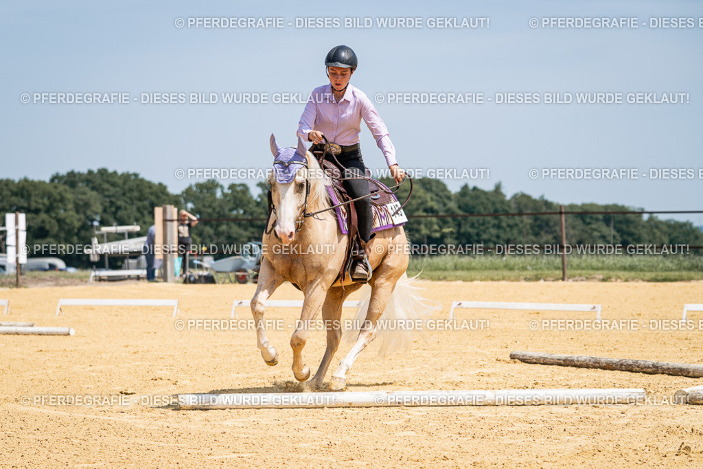 DSC01141 | Pferdegrafie