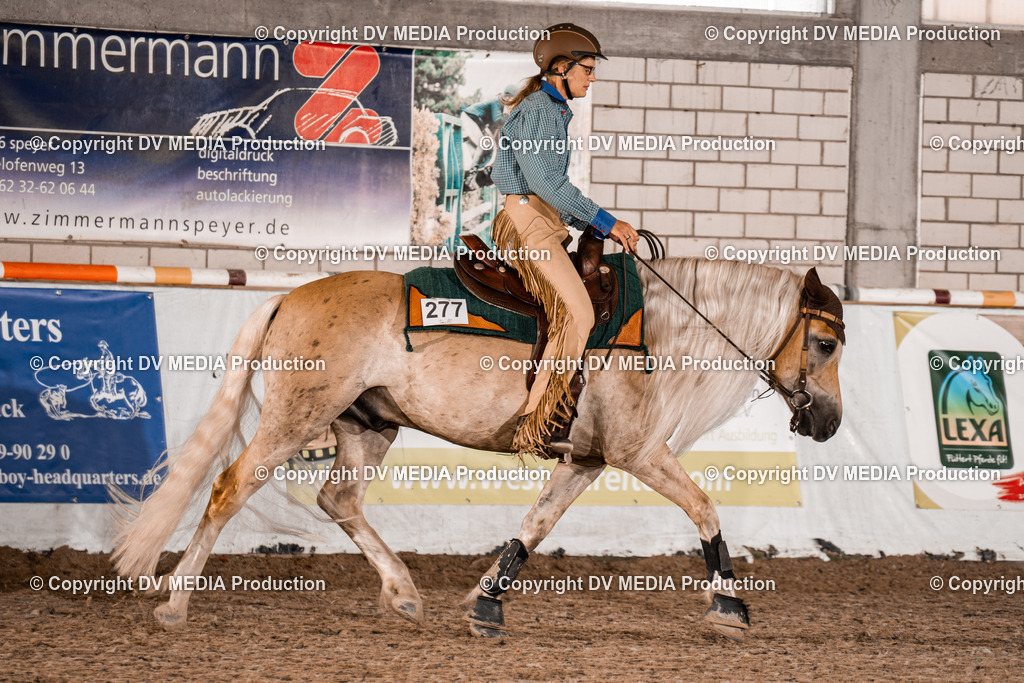 ZH300333 | dv-media-shop - Realisiert mit Pictrs.com