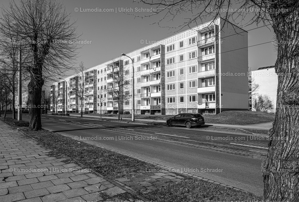 10049-13154 - Halberstadt - Wilhelm-Pieck-Ring | Stockfoto und Bilderpool mit Bildmaterial aus Deutschland, dem Harz, Halberstadt, Quedlinburg, Wernigerode und weltweit. Qualitativ hochwertige und professionelle Fotos anschauen und kaufen. - Realisiert mit Pictrs.com