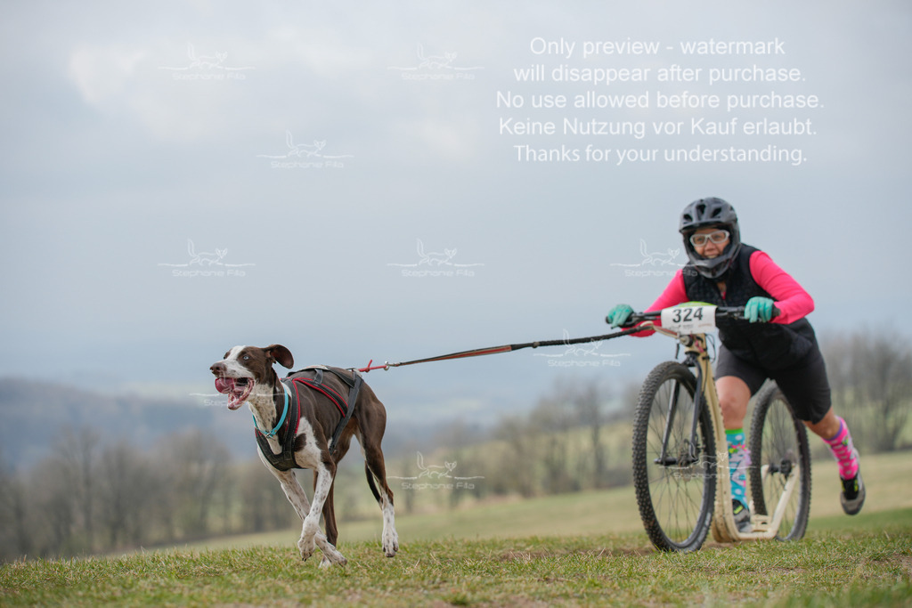 ScooterSA-132 | stephaniefillaphotographie - Realisiert mit Pictrs.com