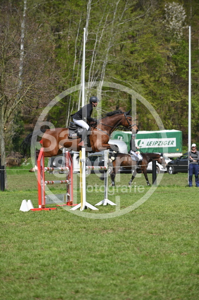 DSC_2735 | sattelsport - Realisiert mit Pictrs.com