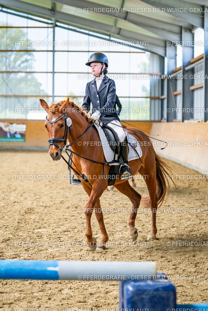 DSC03505 | Pferdegrafie