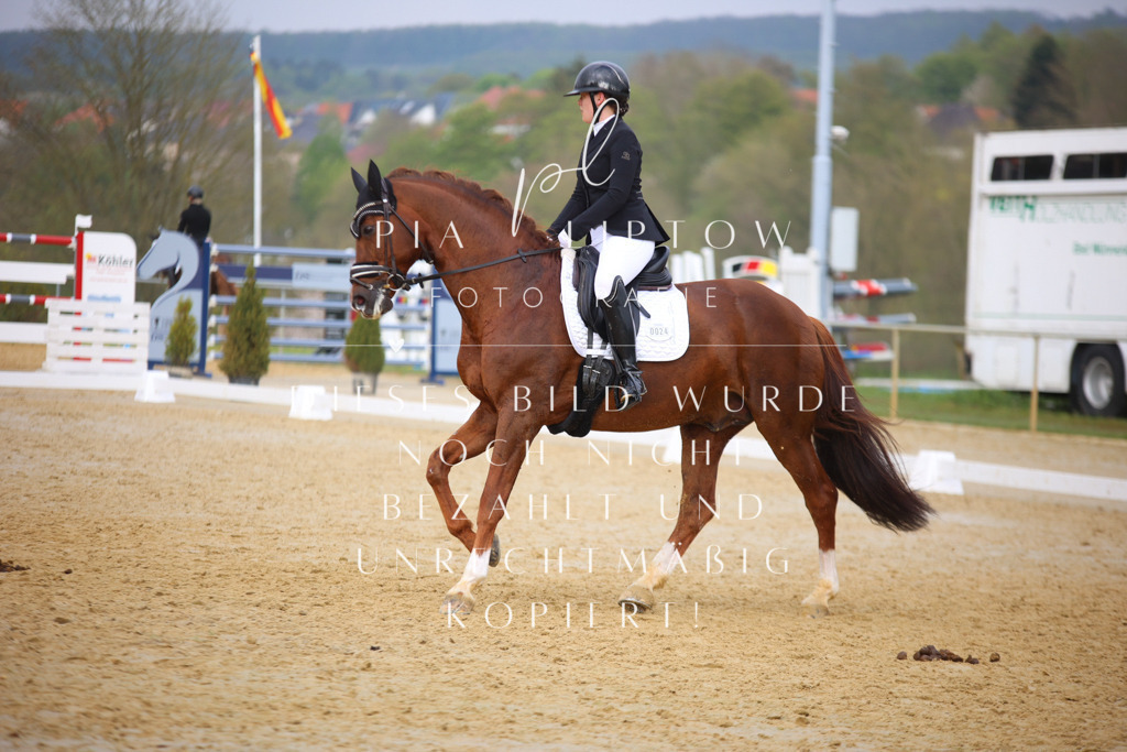 IMGT7640 | pl-fotografie