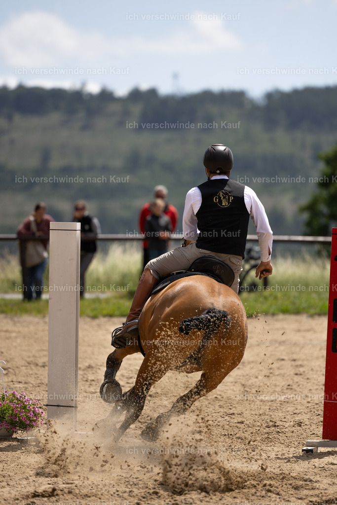 Masterclass_stoibphotography_C2_C8746.CR3 | working equitationturnier fotograf videograf stoibphotography marixx film working equitation deutschland reitsport turnierfotografie eventfotografie equestrian events