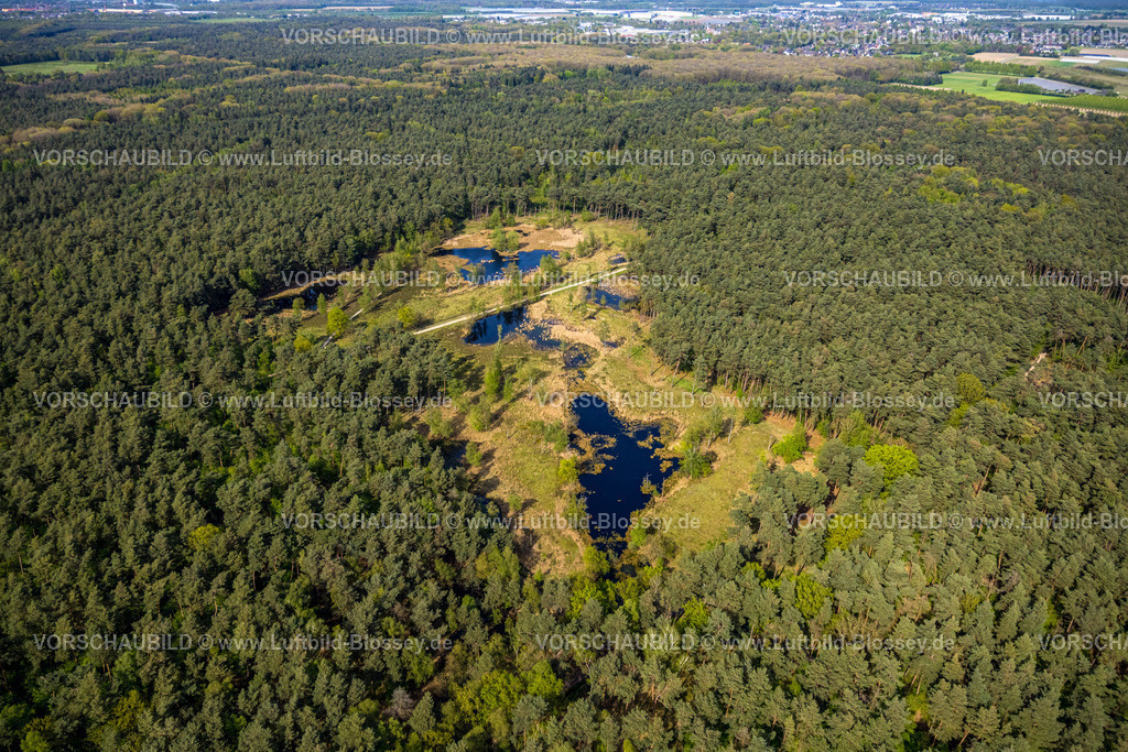 Brueggen240403124HeidhausenHeidemoore-I | Luftbild, Naturschutzgebiet NSG Heidemoore I, Wald und Teiche Feuchtgebiet an der deutsch-niederländischen Grenze, Heidhausen, Brüggen, Niederrhein, Nordrhein-Westfalen, Deutschland