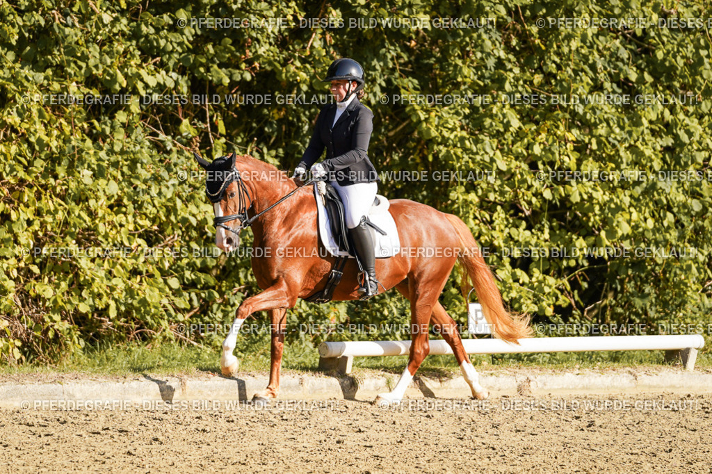 DSC06251 | Pferdegrafie