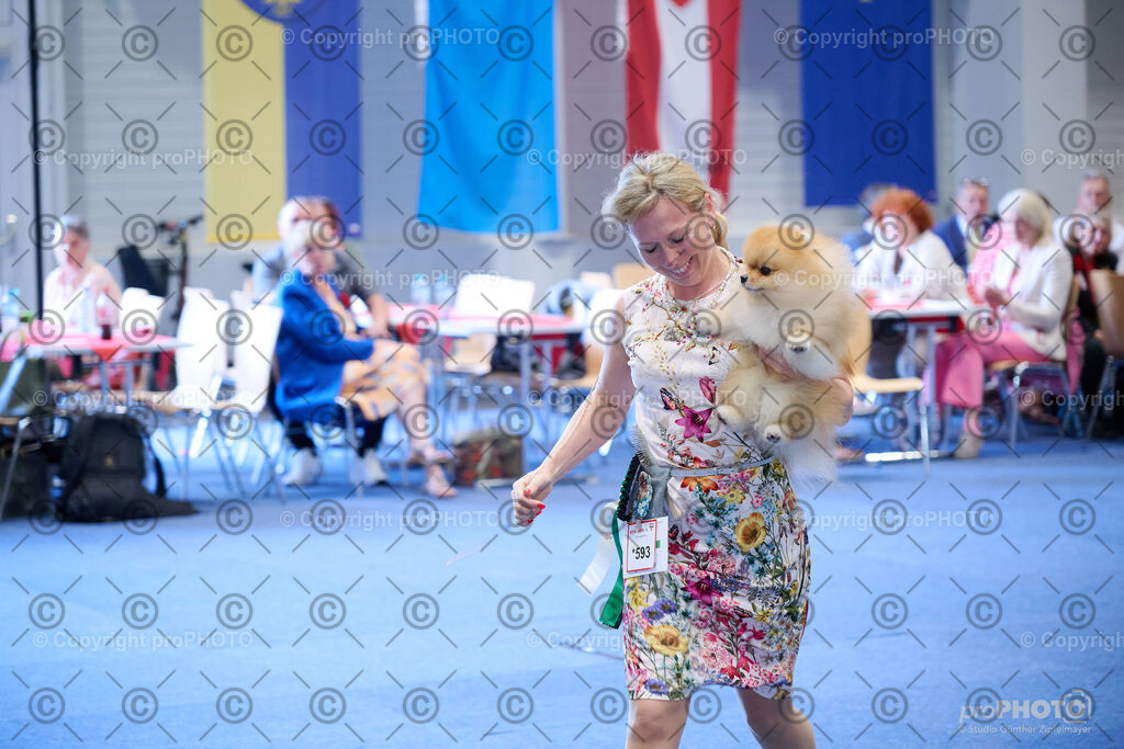 202406_ÖKV-IHA-Tulln24_NZ9_8690 | proPHOTO - Realisiert mit Pictrs.com