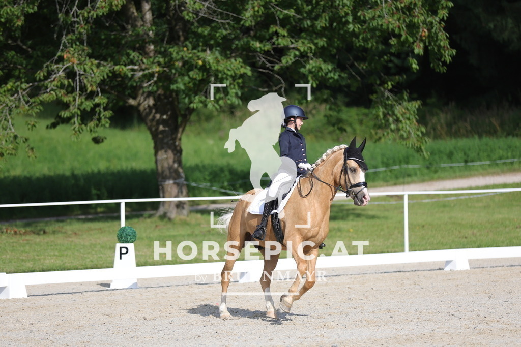0P6A4671 | Willkommen bei Brunnmayr - Design & Fotografie – Ihrem Spezialisten für Reitturniere und Pferdeveranstaltungen in Oberösterreich, Salzburg und Bayern! Seit über 17 Jahren sind wir leidenschaftlich dabei.