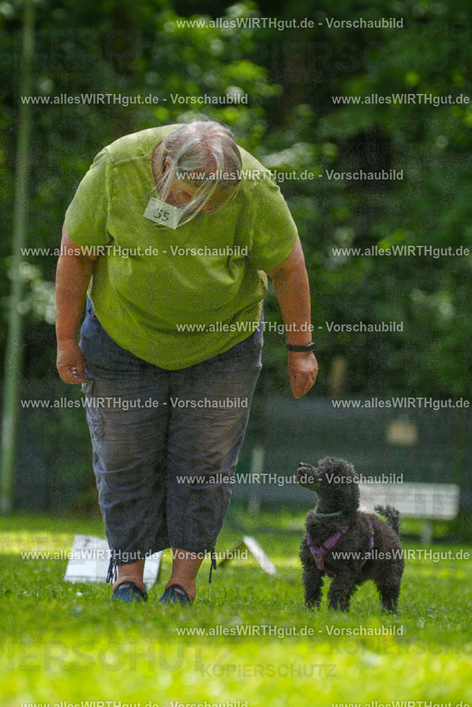 @allesWIRTHgut_Tierfotografie - www.allesWIRTHgut.de - 7R501034 | Professionelle Tierfotografie in Mönchengladbach von Daniel Wirth (allesWIRTHgut). Liebevolle & natürliche Bilder von Hunden & Katzen für unvergessliche Erinnerungen.