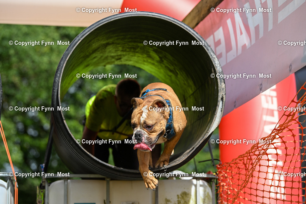 DSC_3410 | Hallo und herzlich Willkommen auf meiner Shop-Seite Fynn Most.

Ich wünsche Dir viel Spaß beim stöbern durch die Bilder, wenn Du Fragen hast oder Bilder vermisst, kannst du mir gerne eine Nachricht schreiben. - Realisiert mit Pictrs.com