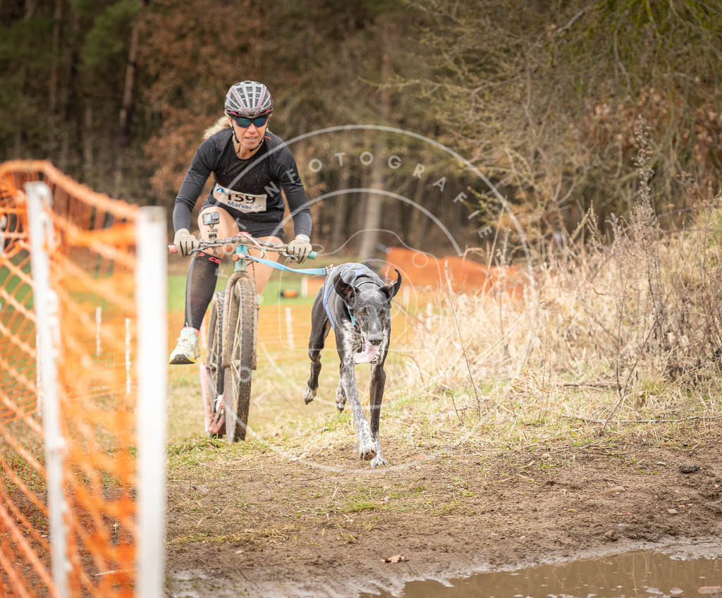 DV3A1733 | Hundefotografie, Tierfotograf, Pfotenfotografie, Fotoshooting Hund, Hunde Portrait, Hundesport, Hundeportraits, Heideshooting, Hunde, Sportfotograf, Hundefotograf, Turnierhundsport, THS,  - Realisiert mit Pictrs.com