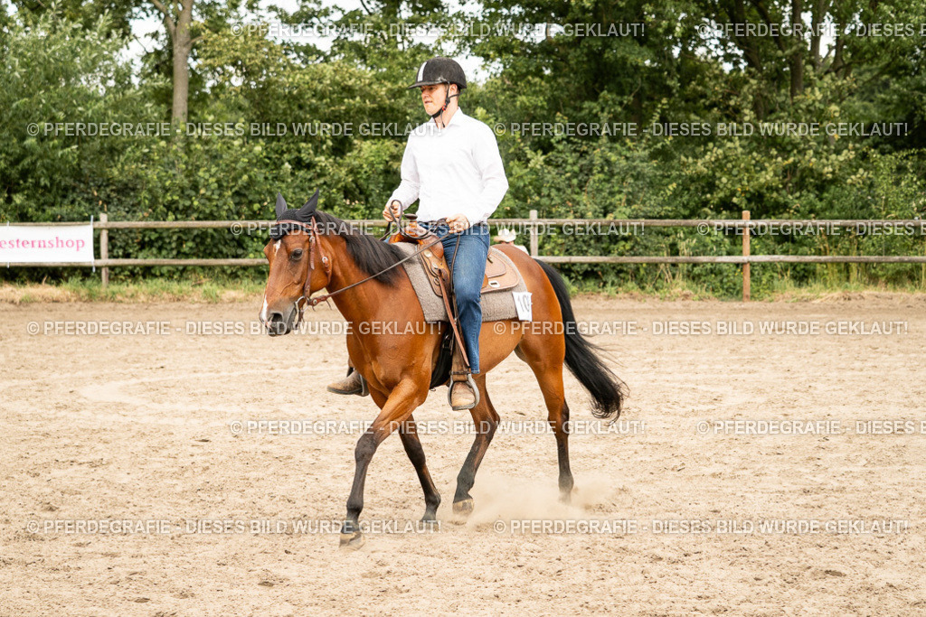 DSC00818 | Pferdegrafie