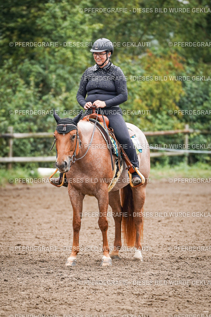 DSC01815 | Pferdegrafie