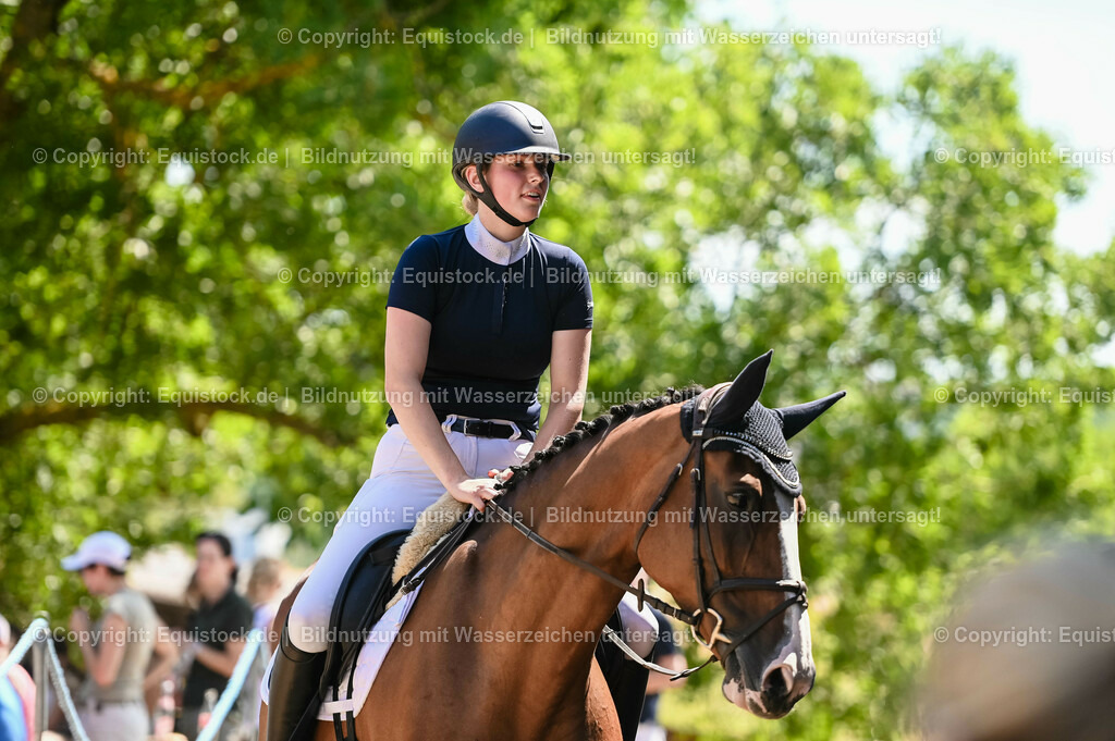 20230715_02_Dressurreiterprüfung Kl.L_0042 | equistock