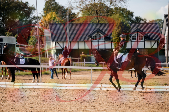 2026_10_03_Siefer-Hof_133657_Z63_98924066 | Professionelle Reitsport-, Turnier- und Eventfotografie von Robert Broda. Galerien mit ausgewählten und bearbeiteten Bildern direkt online ansehen und bestellen.