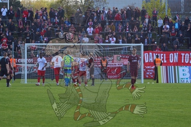 BFC Dynamo vs. FC Rot-Weiß Erfurt 115 | mythos-online-redaktion