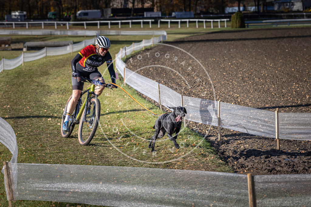 CaniXpix_DV3A4902 | Hundefotografie, Tierfotograf, Pfotenfotografie, Fotoshooting Hund, Hunde Portrait, Hundesport, Hundeportraits, Heideshooting, Hunde, Sportfotograf, Hundefotograf, Turnierhundsport, THS,  - Realisiert mit Pictrs.com
