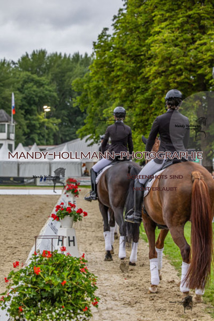 25.7.25 D1 59 (587 von 1569) | mandyhollmannphotographie