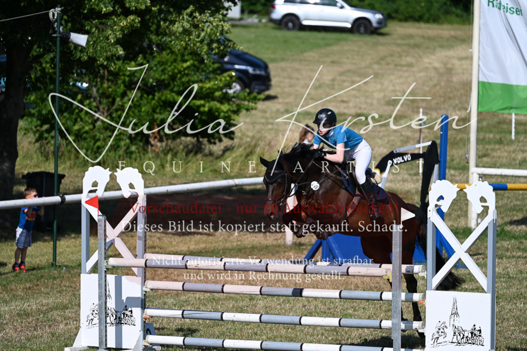 DSC_2375 | Pferde- und Turnierfotografie in Westsachsen. Pferdeportraits, Auftragszeichnungen und intuitive Kunst.