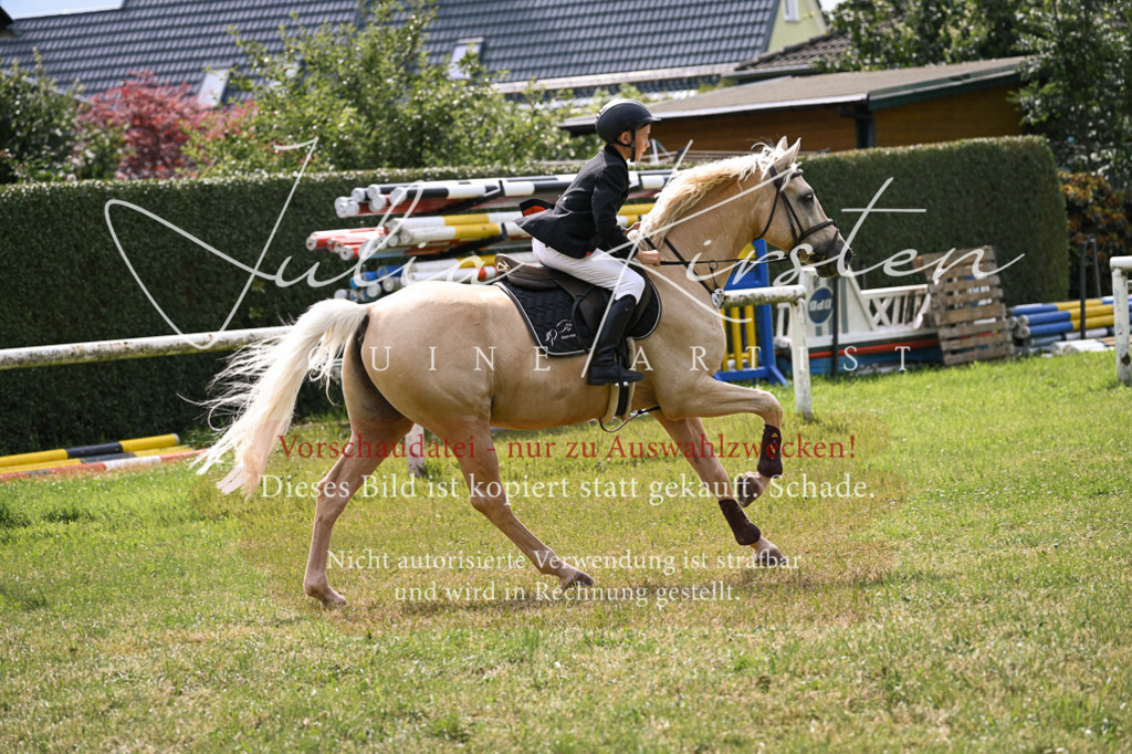 DSC_0644 | Pferde- und Turnierfotografie in Westsachsen. Pferdeportraits, Auftragszeichnungen und intuitive Kunst.