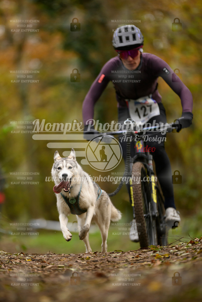 MompixPhotography_Bischwiller24_SA_VTT-57 | PayLife