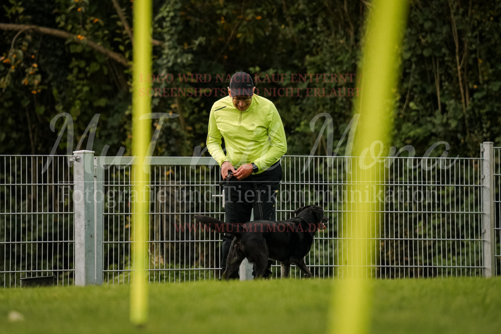 20251005_THS_Turnier-597 | MuT (Mensch und Tier) mit Mona - Fotografie und Tierkommunikation - Realisiert mit Pictrs.com