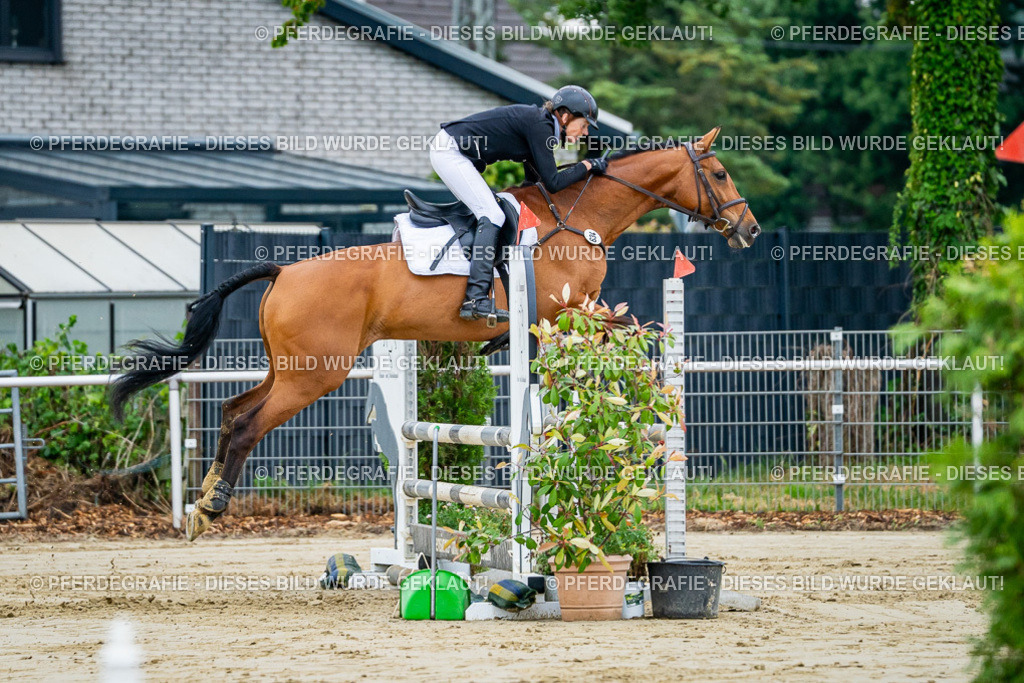 DSC02330 | Pferdegrafie