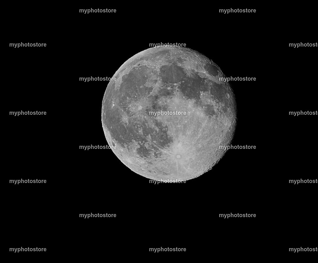 449A6861-2 | myphotostore - Realisiert mit Pictrs.com