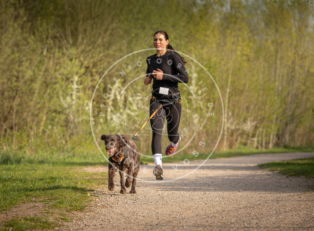 Pfotenfotografie_DV3A4613 | Hundefotografie, Tierfotograf, Pfotenfotografie, Fotoshooting Hund, Hunde Portrait, Hundesport, Hundeportraits, Heideshooting, Hunde, Sportfotograf, Hundefotograf, Turnierhundsport, THS,  - Realisiert mit Pictrs.com