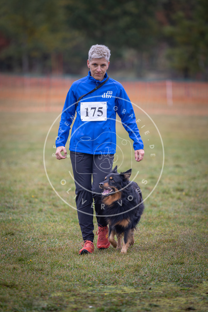 Pfotenfotografie_DV3A9309 | Hundefotografie, Tierfotograf, Pfotenfotografie, Fotoshooting Hund, Hunde Portrait, Hundesport, Hundeportraits, Heideshooting, Hunde, Sportfotograf, Hundefotograf, Turnierhundsport, THS,  - Realisiert mit Pictrs.com