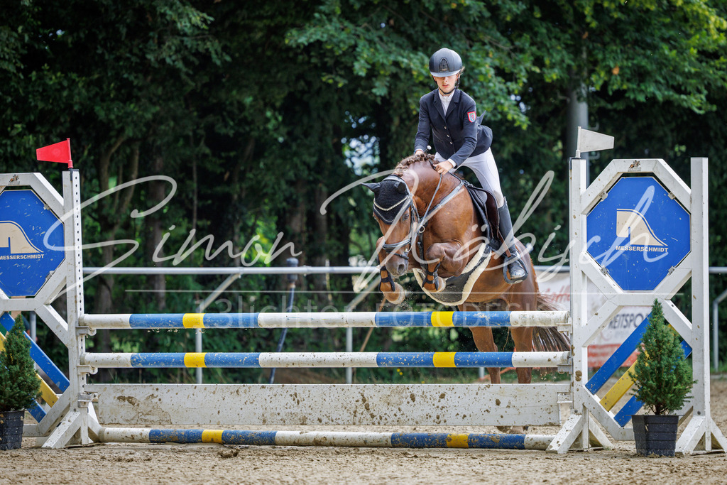 20260705-_3LI4893 | Tierfotografie Pferde, Hunde, Katzen, Haustiere.
Turnierfotografie Reitturniere, Reiten, Springreiten, Dressur in Hanau, dem Main-Kinzig-Kreis und dem Rhein-Main- Gebiet um Frankfurt