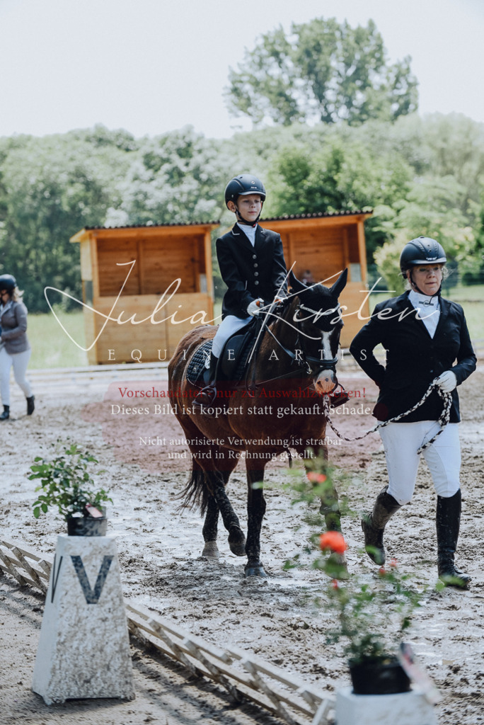 DSC_2291 | Pferde- und Turnierfotografie in Westsachsen. Pferdeportraits, Auftragszeichnungen und intuitive Kunst.