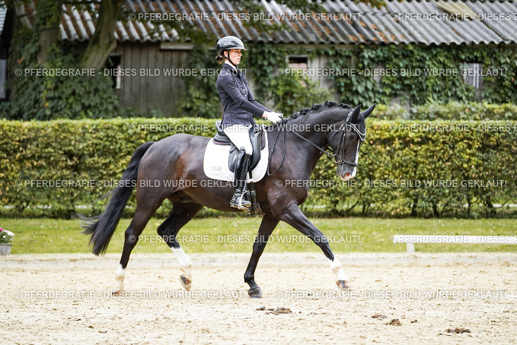 DSC09657 | Pferdegrafie