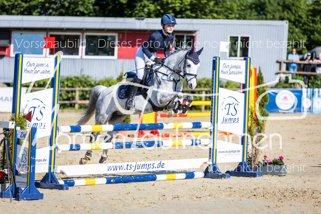 Donop24-ASpr-096 | MomenTaufnahmen Pferdesportfotos