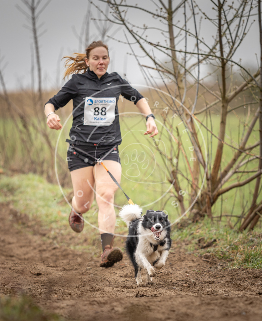 DV3A9942 | Hundefotografie, Tierfotograf, Pfotenfotografie, Fotoshooting Hund, Hunde Portrait, Hundesport, Hundeportraits, Heideshooting, Hunde, Sportfotograf, Hundefotograf, Turnierhundsport, THS,  - Realisiert mit Pictrs.com