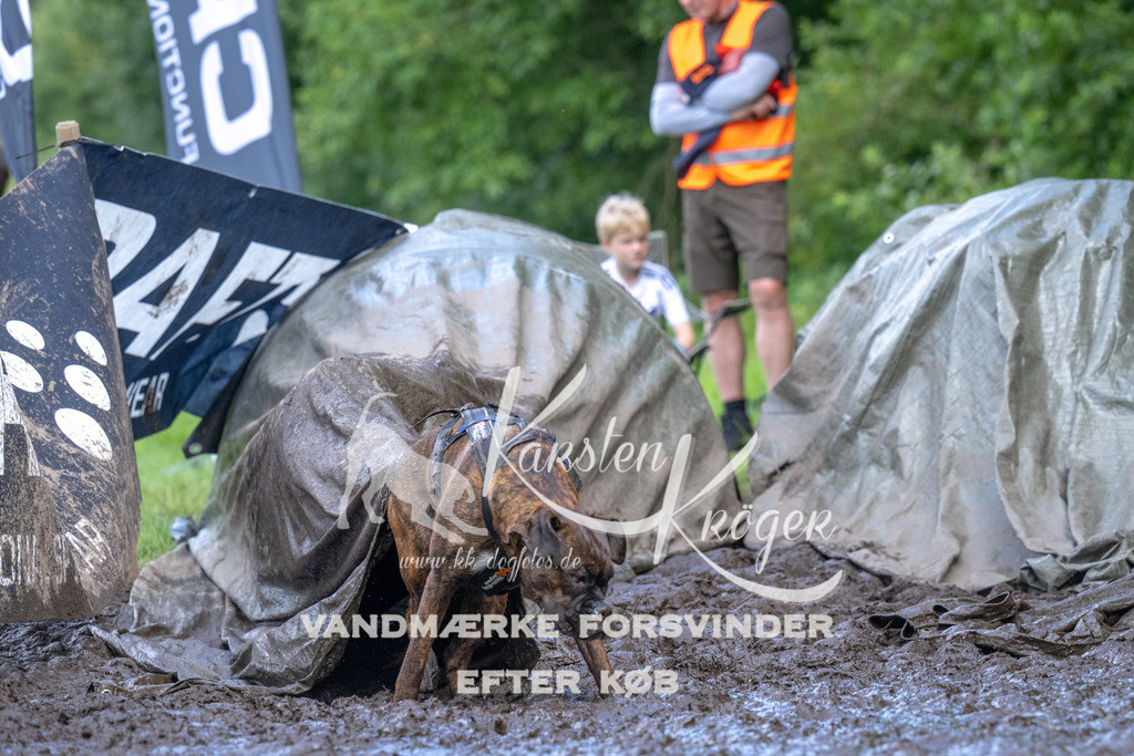 1618_ZZ92790 | kk-dogfotos