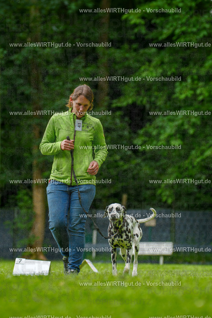 @allesWIRTHgut_Tierfotografie - www.allesWIRTHgut.de - 135114-7R500073 | Professionelle Tierfotografie in Mönchengladbach von Daniel Wirth (allesWIRTHgut). Liebevolle & natürliche Bilder von Hunden & Katzen für unvergessliche Erinnerungen.