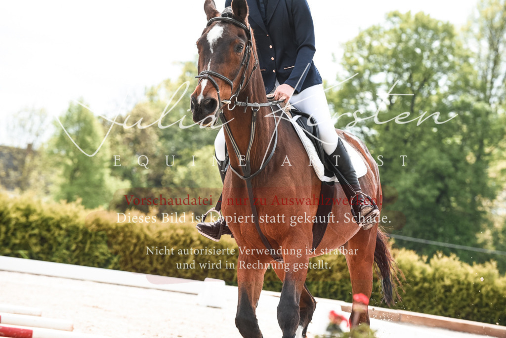 20230518_JK-Röhrsdorf-10-084 | Pferde- und Turnierfotografie in Westsachsen. Pferdeportraits, Auftragszeichnungen und intuitive Kunst.