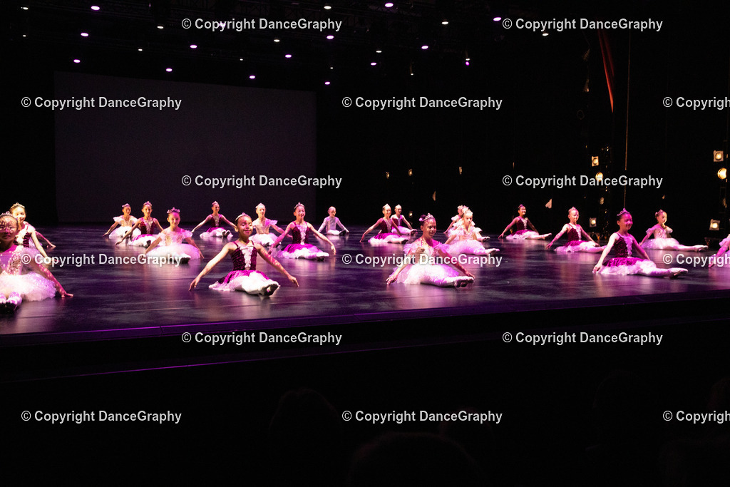 GPHY4430 | DanceGraphy - Realisiert mit Pictrs.com