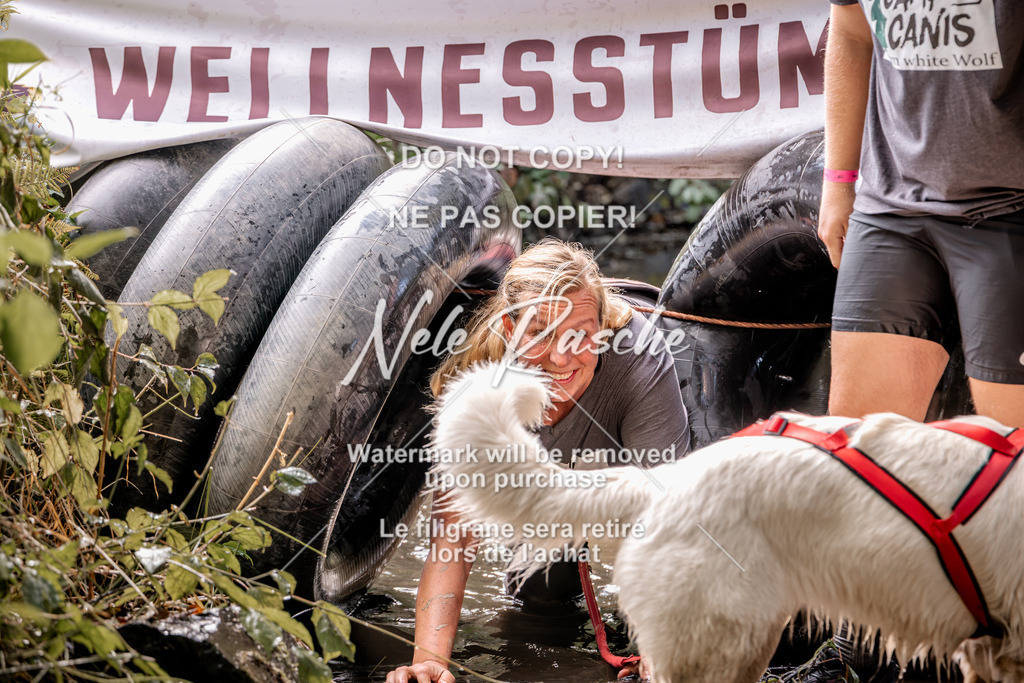 nelerasche_Hunsrück2026_Sa1400-1500_277 | nelerasche