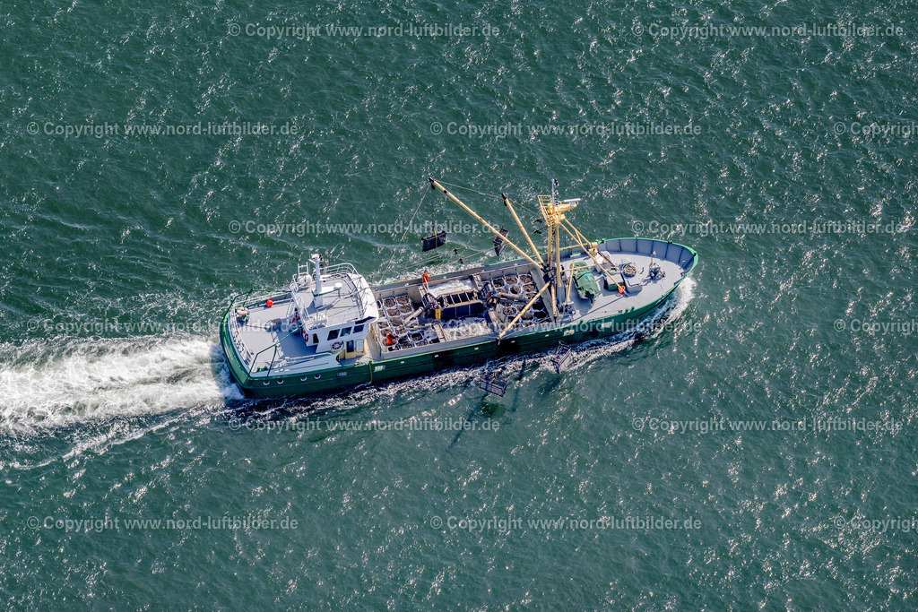 Sylt_Hörnum_Siebennus_GER_Jets_Hooksiel_Muschelfischer_ELS_5494130825 | HöRNUM (SYLT) 13.08.2025 Fischfang - Schiff in Fahrt auf " Trawler Wyk 2 " in Hörnum (Sylt) auf der Insel Sylt im Bundesland Schleswig-Holstein, Deutschland. // Fishing - ship under way " Trawler Wyk 2 " in Hoernum (Sylt) at the island Sylt in the state Schleswig-Holstein, Germany. Foto: Martin Elsen