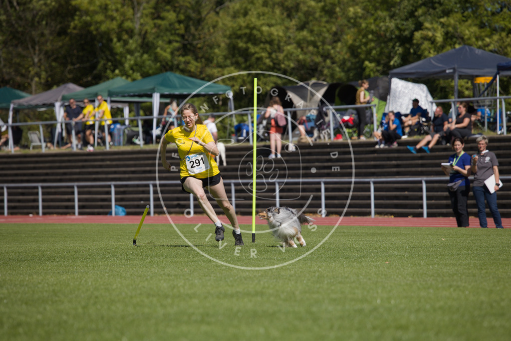 0L8A7013 | Hundefotografie, Tierfotograf, Pfotenfotografie, Fotoshooting Hund, Hunde Portrait, Hundesport, Hundeportraits, Heideshooting, Hunde, Sportfotograf, Hundefotograf, Turnierhundsport, THS,  - Realisiert mit Pictrs.com