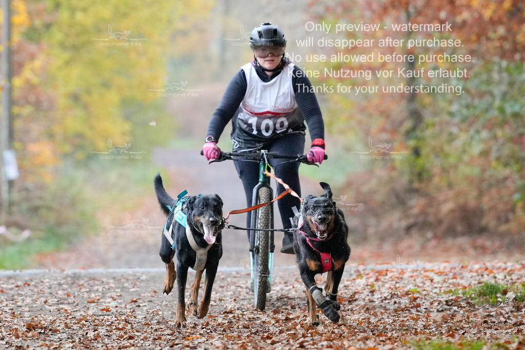 AusschnitteSo-20 | stephaniefillaphotographie - Realisiert mit Pictrs.com