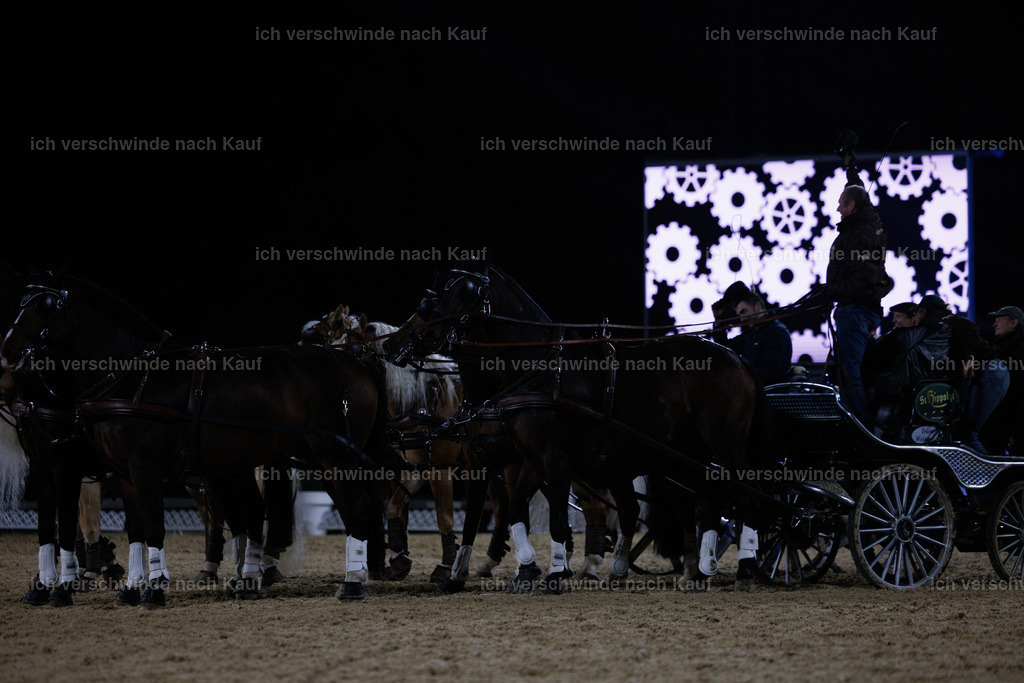 FHClassics-308 | working equitationturnier fotograf videograf stoibphotography marixx film working equitation deutschland reitsport turnierfotografie eventfotografie equestrian events
